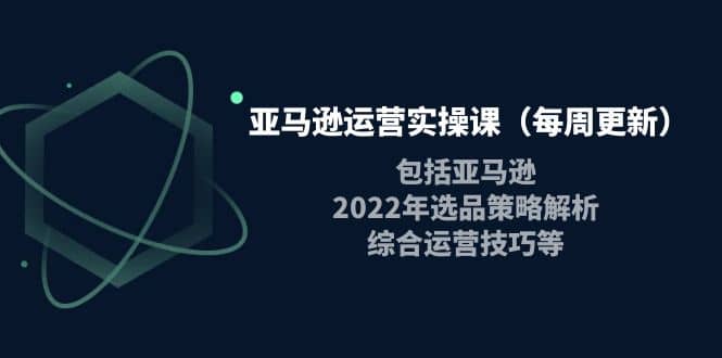 亚马逊运营实操课（每周更新）包括亚马逊2022选品策略解析，综合运营技巧等-智宝网创