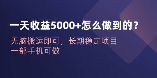 一天收益5000+怎么做到的？无脑搬运即可，长期稳定项目，一部手机可做-智宝网创