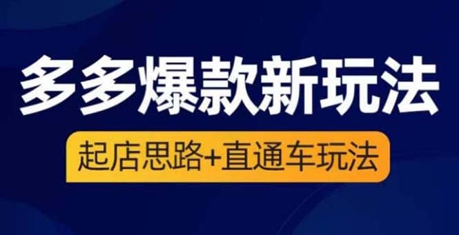 2023拼多多爆款·新玩法：起店思路+直通车玩法（3节精华课）-智宝网创