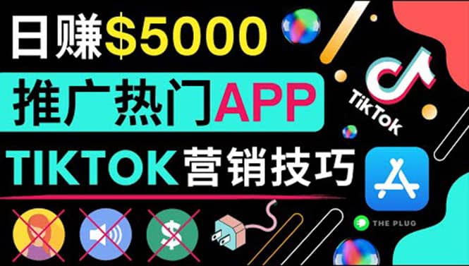 无需露脸，无需录音，无需投资，TIKTOK上传短视频，最高日入5000美元-智宝网创