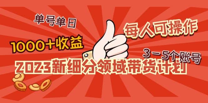 2023新细分领域带货计划：单号单日1000+收益不难，每人可操作3-5个账号-智宝网创
