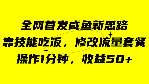 咸鱼冷门新玩法，靠“技能吃饭”，修改流量套餐，操作1分钟，收益50+-智宝网创