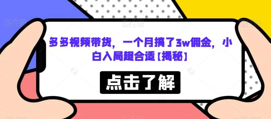 多多视频带货，一个月搞了3w佣金，小白入局超合适【揭秘】-智宝网创