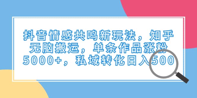 抖音情感共鸣新玩法，知乎无脑搬运，单条作品涨粉5000+，私域转化日入500-智宝网创