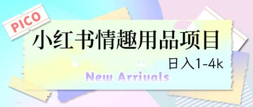 最新小红书情趣用品项目，日入1-4k-智宝网创