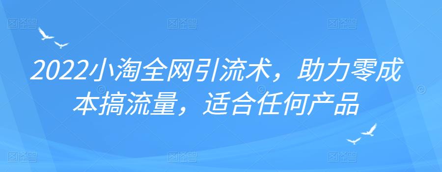 2022年小淘全网引流术，助力零成本搞流量，适合任何产品-智宝网创
