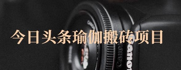 猎人社区·今日头条瑜伽搬砖项目，单号一天几十收入，可以批量操作！-智宝网创