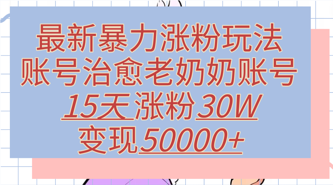 最新暴力涨粉玩法，治愈老奶奶账号，15天涨粉30W，变现50000+【揭秘】-智宝网创