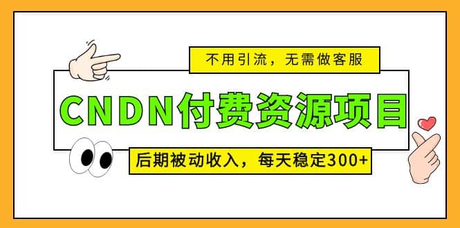 CNDN付费资源项目，不用引流，无需做客服，后期被动收入-智宝网创