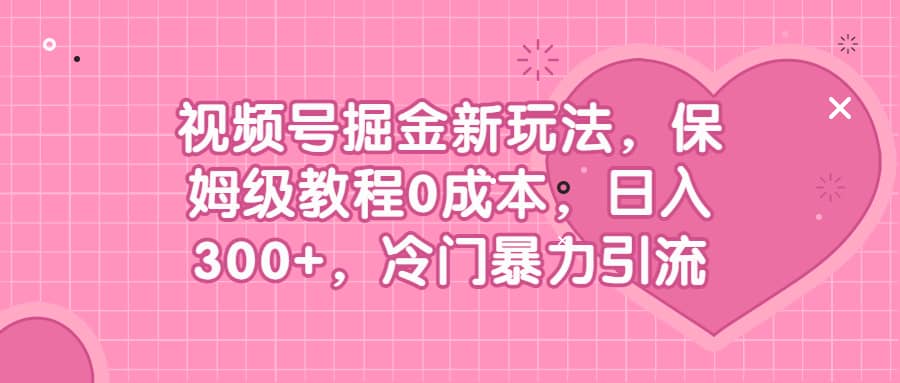 视频号掘金新玩法，保姆级教程0成本，日入300+，冷门暴力引流-智宝网创