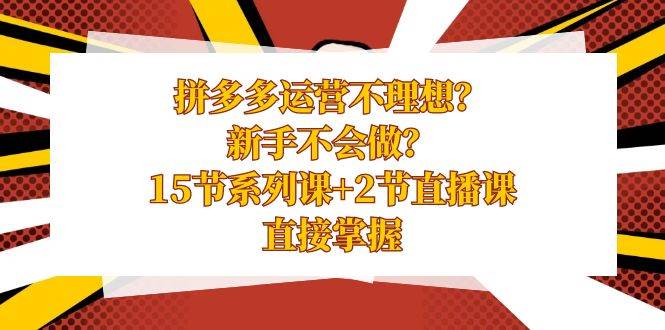 拼多多运营不理想？新手不会做？15节系列课+2节直播课，直接掌握-智宝网创