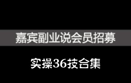 嘉宾副业说实操36技合集，价值1380元-智宝网创