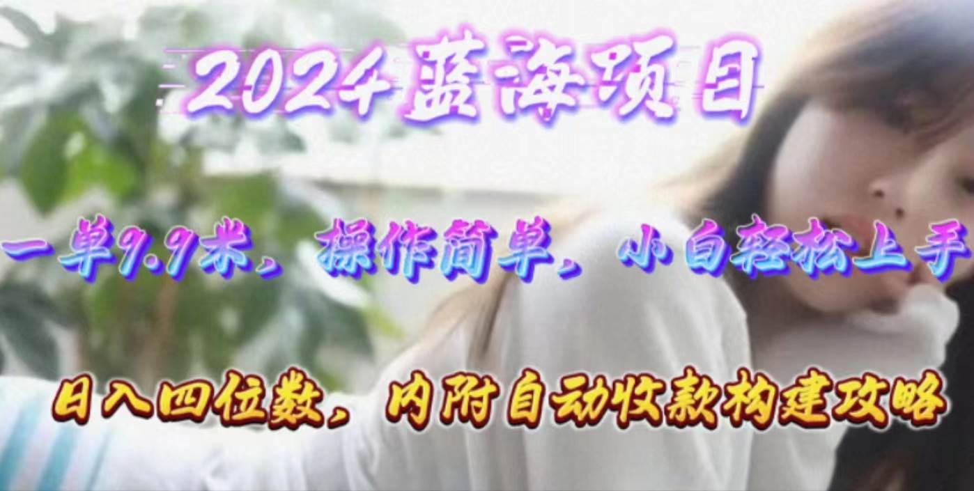 年轻群体的蓝海市场，1单9.9元，操作简单，小白轻松上手，日入四位数-智宝网创