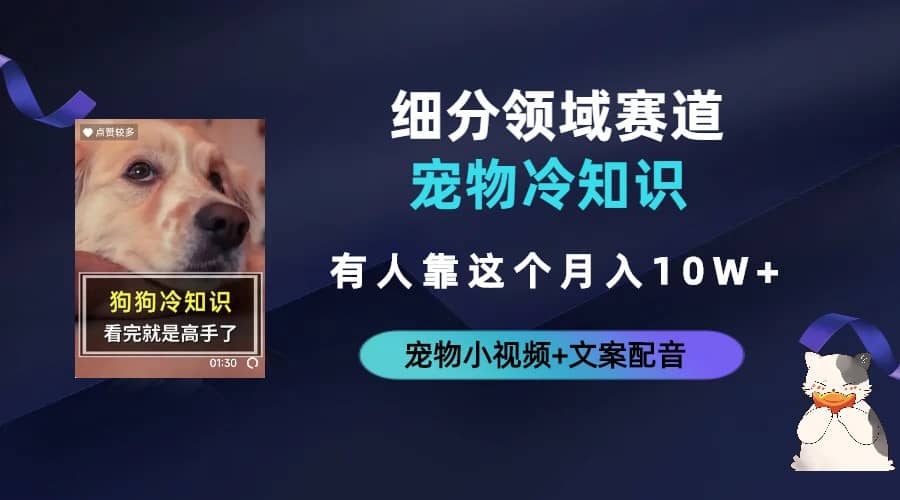 不起眼的抖音细分赛道-宠物冷知识，一段宠物视频配文案，有人靠这个月入10w-智宝网创