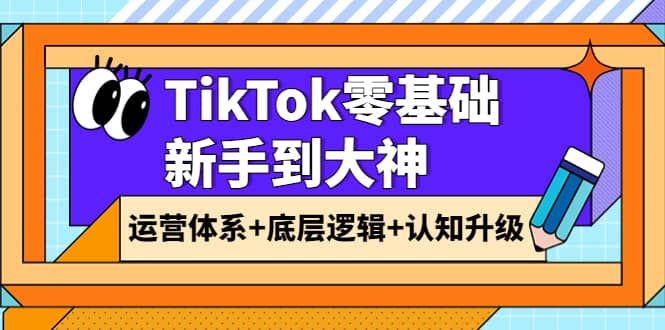 TikTok零基础新手到大神：运营体系+底层逻辑+认知升级（9节系列课）-智宝网创