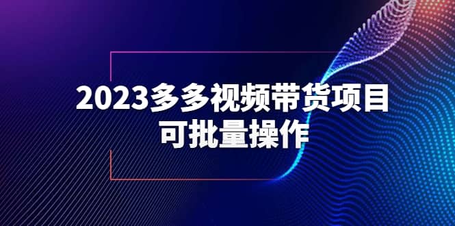 2023多多视频带货项目，可批量操作【保姆级教学】-智宝网创
