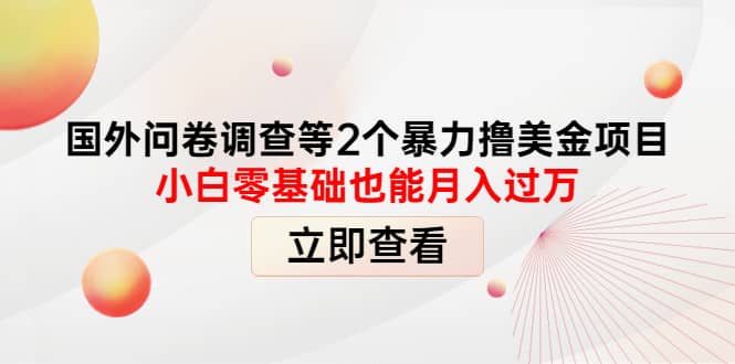 国外问卷调查等2个暴力撸美元项目，小白零基础也能月入过万-智宝网创