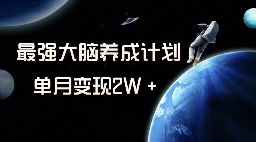 冷门虚拟项目，最强大脑养成计划，一个月变现2W＋-智宝网创