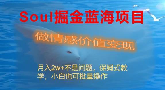 Soul掘金蓝海项目细分赛道，做情感价值变现，月入2w+不是问题-智宝网创