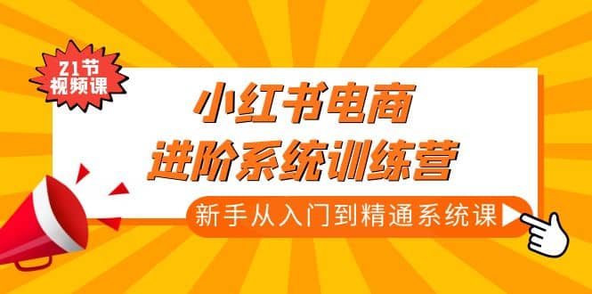 小红书电商进阶系统训练营：新手从入门到精通系统课（21节视频课）-智宝网创