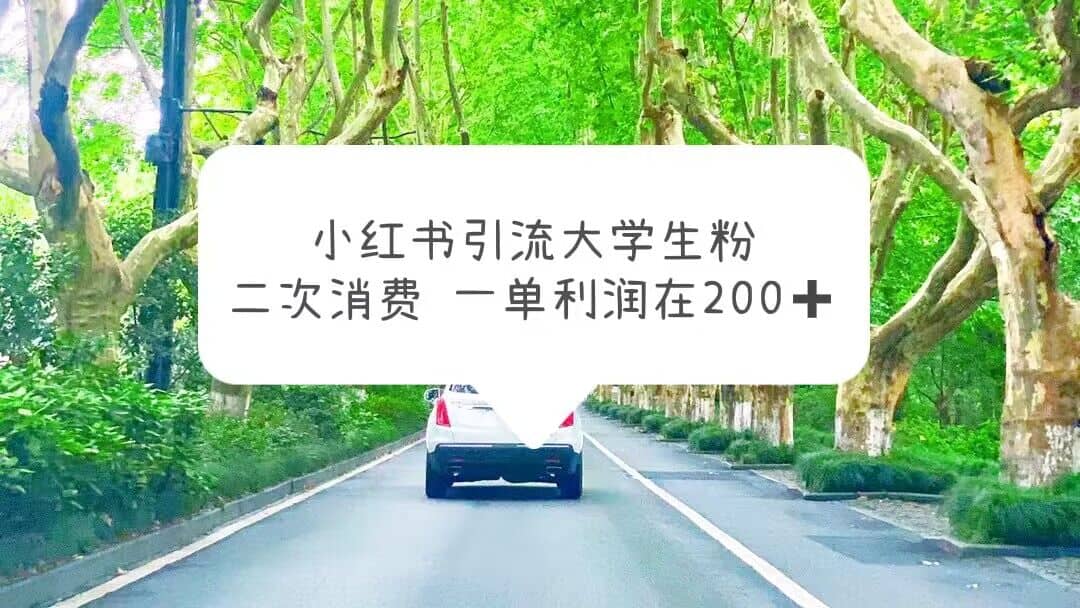 小红书引流大学生粉，变现项目，一单利润在200+（教程+资源）-智宝网创