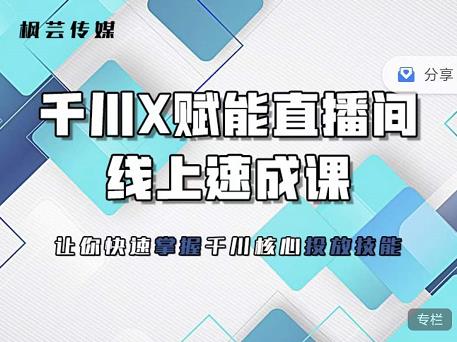 枫芸传媒-线上千川提升课，提升千川认知，提升千川投放效果-智宝网创