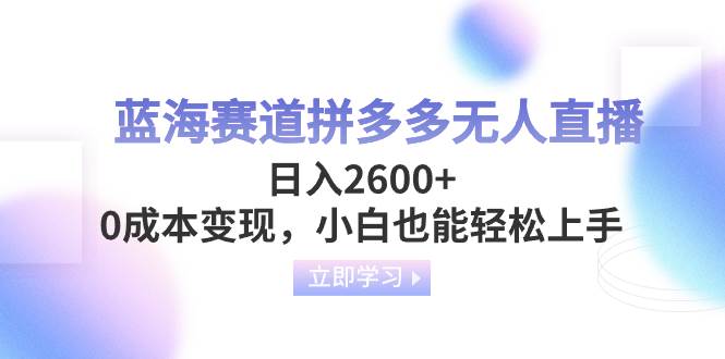蓝海赛道拼多多无人直播，日入2600+，0成本变现，小白也能轻松上手-智宝网创