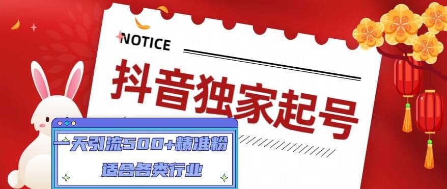 抖音独家起号，适合各类行业（9节视频课）-智宝网创
