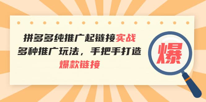 拼多多纯推广起链接实战：多种推广玩法，手把手打造爆款链接-智宝网创