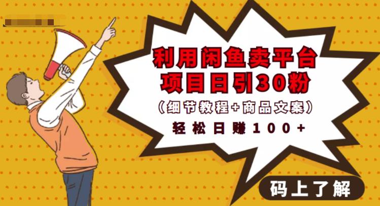 利用闲鱼卖平台项目课程资源日引流30+精准粉丝，轻松日赚100+，积累人脉可实现二次变现（细节教程+商品文案）-智宝网创