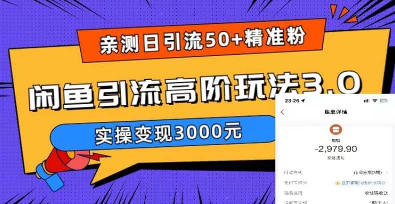 实测日引50+精准粉，闲鱼引流高阶玩法3.0，实操变现3000元-智宝网创