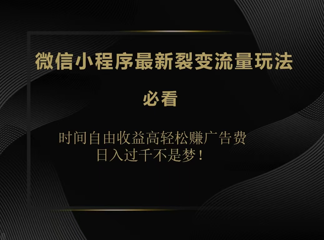 微信小程序最新裂变流量玩法，时间自由收益高轻松赚广告费，日入200-500+-智宝网创