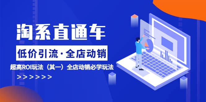 淘系直通车《低价·引流 全店·动销》超高ROI玩法（其一）全店动销必学玩法-智宝网创