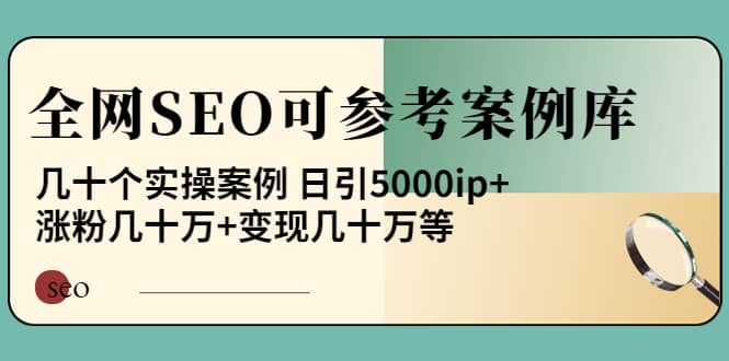 《全网SEO可参考案例库》几十个实操案例-智宝网创