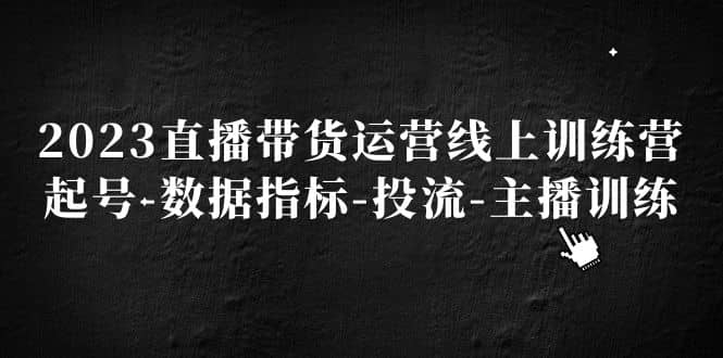 2023直播带货运营线上训练营，起号-数据指标-投流-主播训练-智宝网创