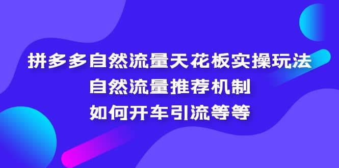 拼多多自然流量天花板实操玩法：自然流量推荐机制，如何开车引流等等-智宝网创