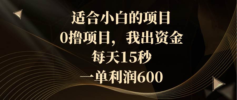 适合小白的项目，0撸项目，我出资金，每天15秒，一单利润600-智宝网创
