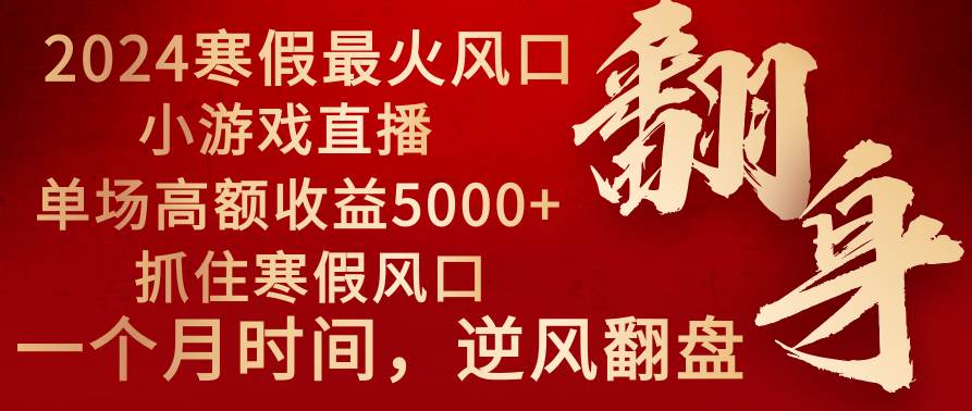 2024年最火寒假风口项目 小游戏直播 单场收益5000+抓住风口 一个月直接提车-智宝网创
