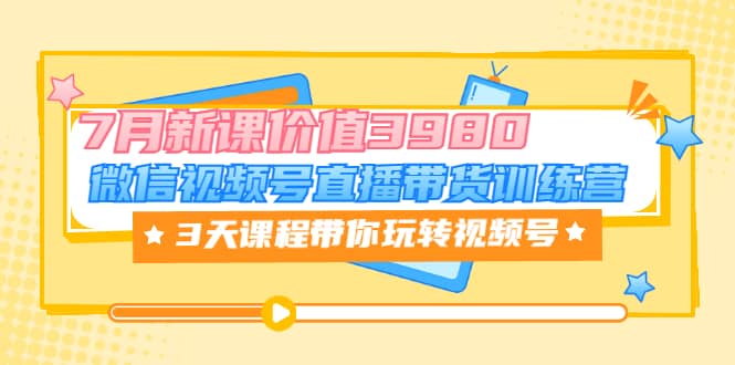 微信视频号直播带货训练营，3天课程带你玩转视频号：7月新课价值3980-智宝网创