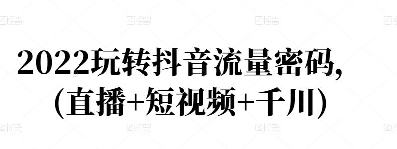 2022玩转抖音流量密码，(直播+短视频+千川)-智宝网创