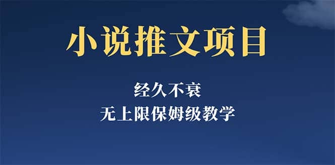 经久不衰的小说推文项目，单号月5-8k，保姆级教程，纯小白都能操作-智宝网创