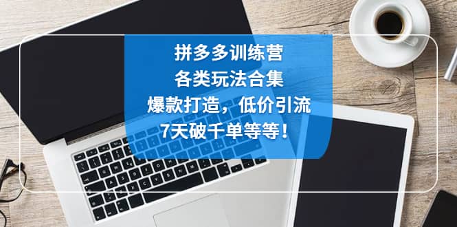 拼多多训练营：各玩法合集，爆款打造，低价引流，7天破千单等等-智宝网创