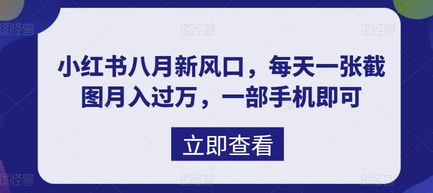 八月新风口，小红书虚拟项目一天收入1000+，实战揭秘-智宝网创