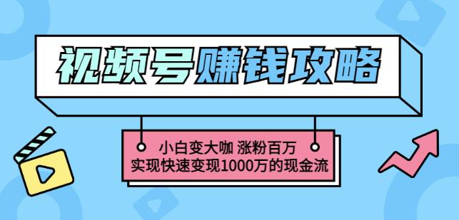 玩转微信视频号赚钱：小白变大咖涨粉百万实现快速变现1000万的现金流-智宝网创