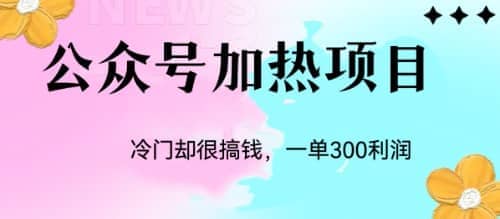 冷门公众号加热项目，一单利润300+-智宝网创