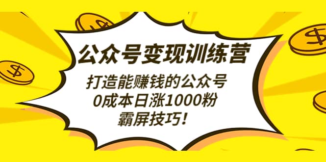 公众号变现训练营（第3期）-智宝网创