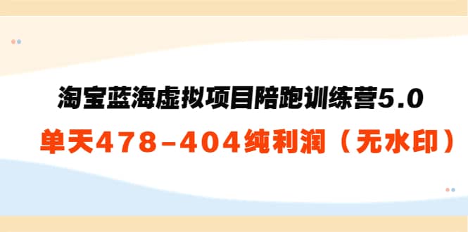 淘宝蓝海虚拟项目陪跑训练营5.0：单天478纯利润（无水印）-智宝网创