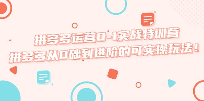 拼多多运营0-1实战特训营，拼多多从0础到进阶的可实操玩法-智宝网创