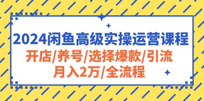 2024闲鱼高级实操运营课程：开店/养号/选择爆款/引流/月入2万/全流程-智宝网创
