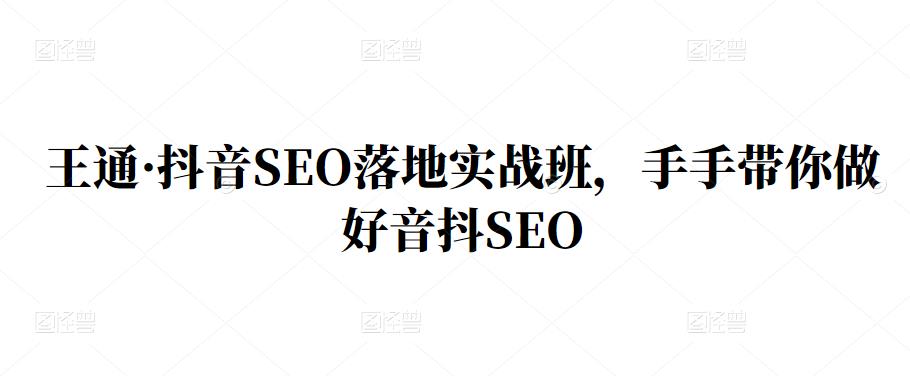 王通·抖音SEO落地实战班，手‬手带你做好音抖‬‬SEO-智宝网创